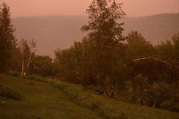 Flower Hill Farm Landscapes