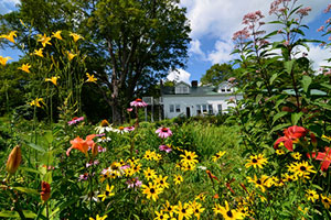 FlowerHill-Farm-Retreat-Late-Summer
