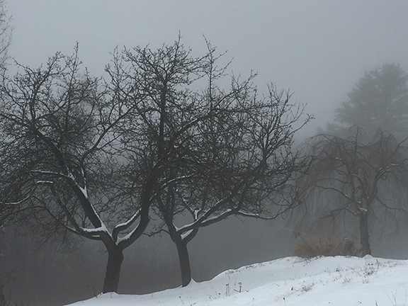 Apple Tree Gateway in Winter