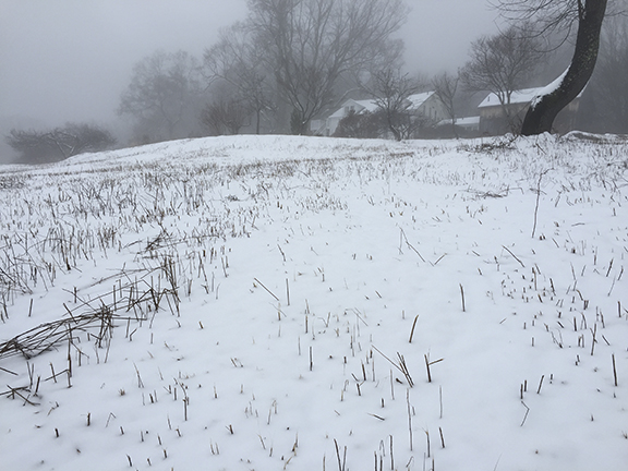 FHF North Hillside in Winter