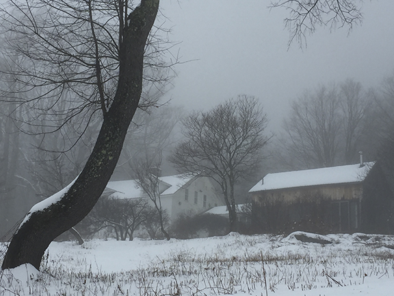 Flower Hill Farm Retreat and Black Cherry in Winter
