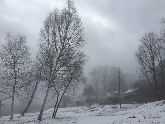 FHF From the North Field in Winter