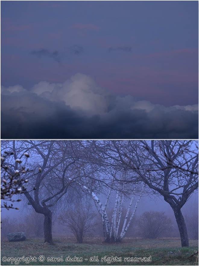 Mauve Sky Clouds & Apple Gateway Dusk Mist