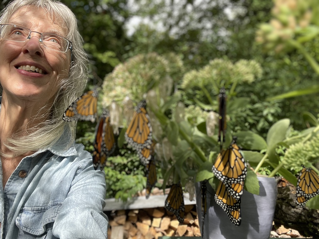 Carol watching Monarch taking first flight